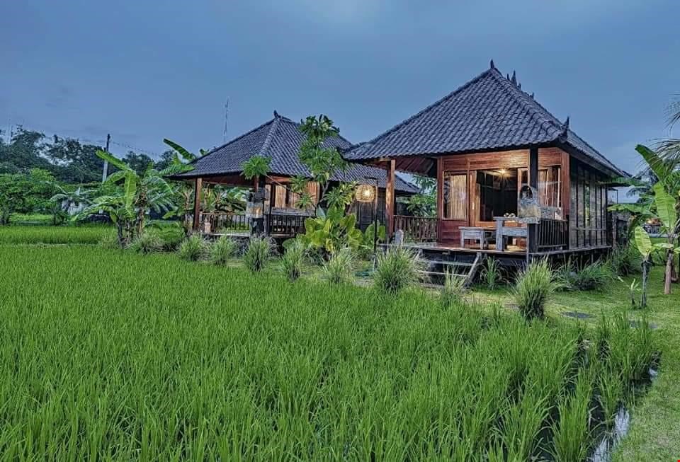 Hotel Keramas, Indonesia nomad remote fa341cc0-098f-4f4b-b0db-2760e75a5813_NS Kermamas - bali.jpg